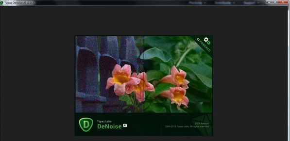 Topaz DeNoise AI(AI图片降噪软件)