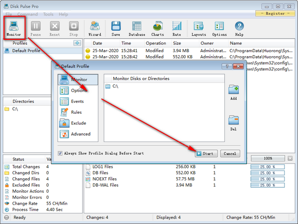 Disk Pulse Pro(磁盘监测工具)