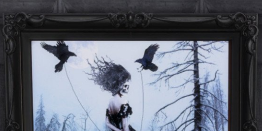 模拟人生4乌鸦骷髅女性挂画MOD