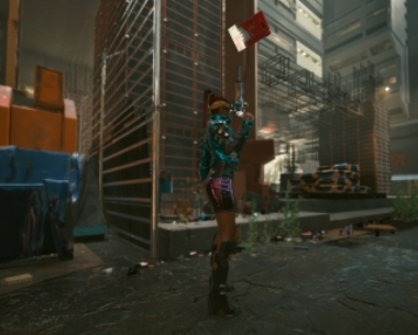 赛博朋克2077广播伴侣MOD