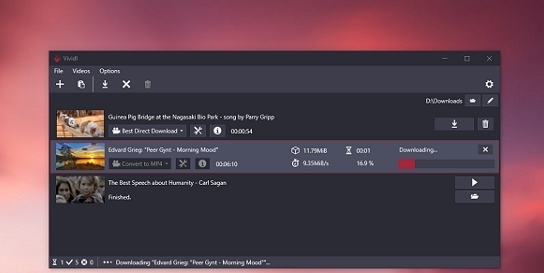 Vividl视频下载工具