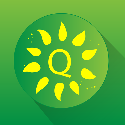 敏特英语葵花籽(Quizii)