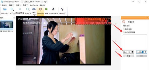 视频去水印软件(Remove Logo Now)