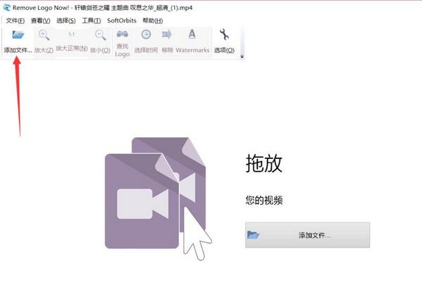 视频去水印软件(Remove Logo Now)