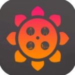 向日葵视频最新版