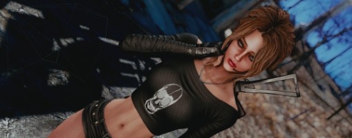 辐射4Shani预设MOD