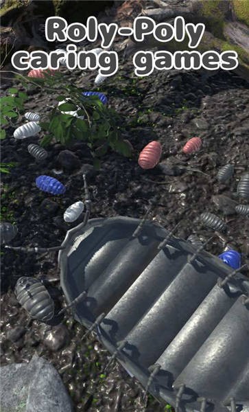 圆滚滚朋友手游