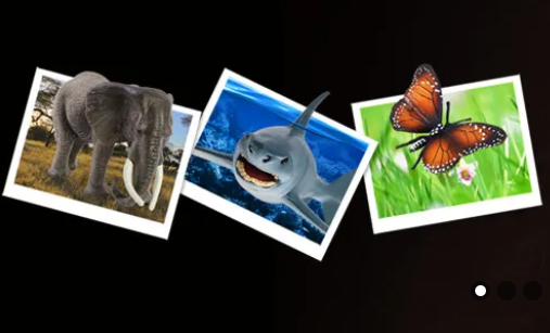 Volnau拍照识别动物