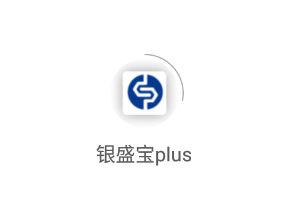 银盛宝plus
