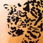 FLINT弦火之律手游