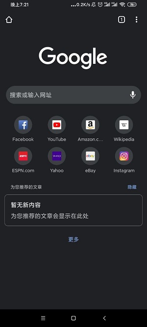 谷歌浏览器(google chrome)