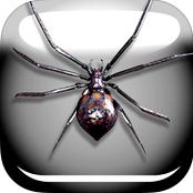 手机蜘蛛恶作剧桌面3d版