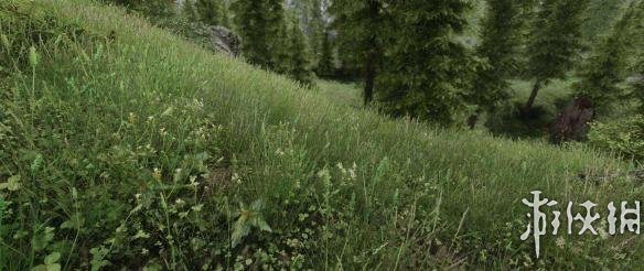 上古卷轴5(The Elder Scrolls