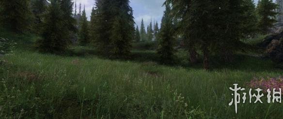 上古卷轴5(The Elder Scrolls