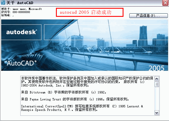 cad中文版2005