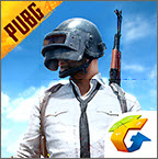 beta pubg mobile国际服体验服