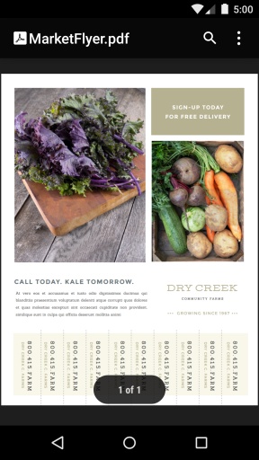 谷歌文档阅读器