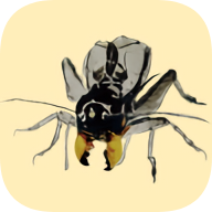 中国蟋蟀网手机版