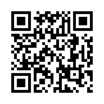 饥饿游戏2星火燎原