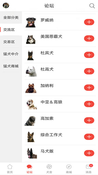 猛犬俱乐部