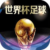 世界杯实况