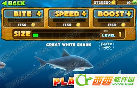 Hungry Shark(饥饿的鲨鱼3无限金币版)