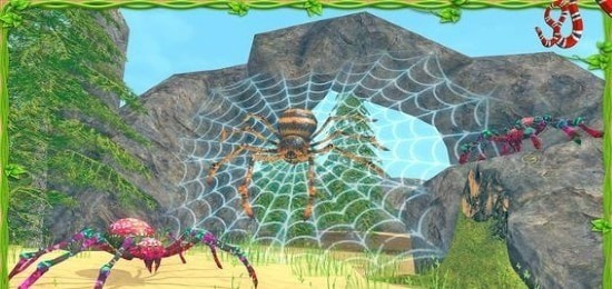 蜘蛛模拟器蜘蛛的一生