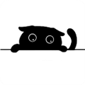 黑猫影视电脑版