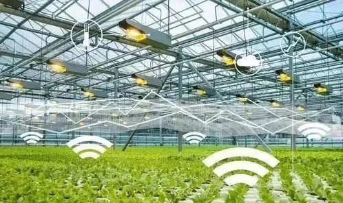 三农通手机应用服务平台