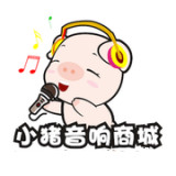 小猪音响商城