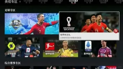 央视频有电脑版吗?电脑版叫什么?央视频电脑怎么看世界杯直播?