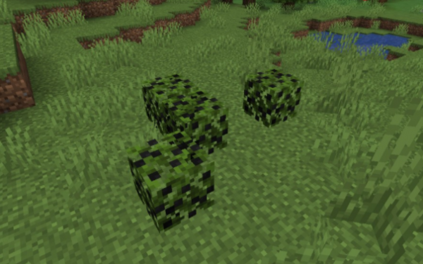 我的世界1.16.5更多浆果MOD