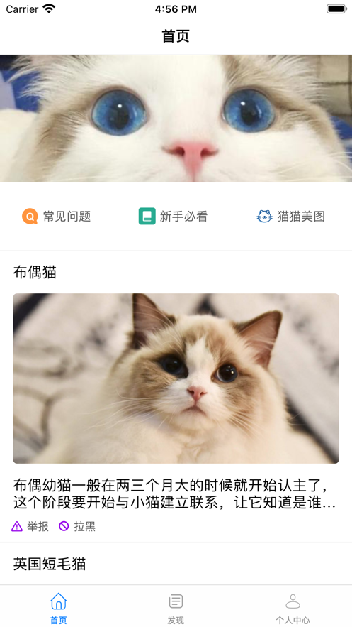 猫猫窝