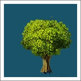 战争世界2018最新版