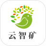 云智矿
