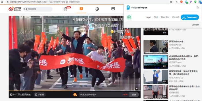 Video Octopus插件