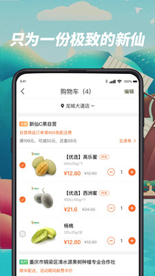 新仙C果