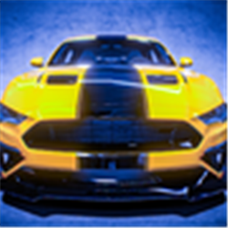 真正的停车大师2021