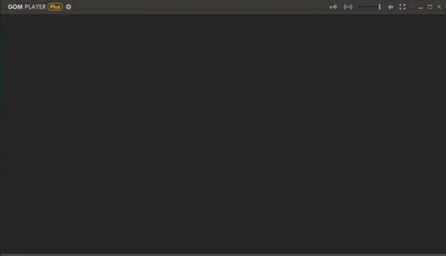 GOM Media Player Plus