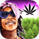 Weed Farm