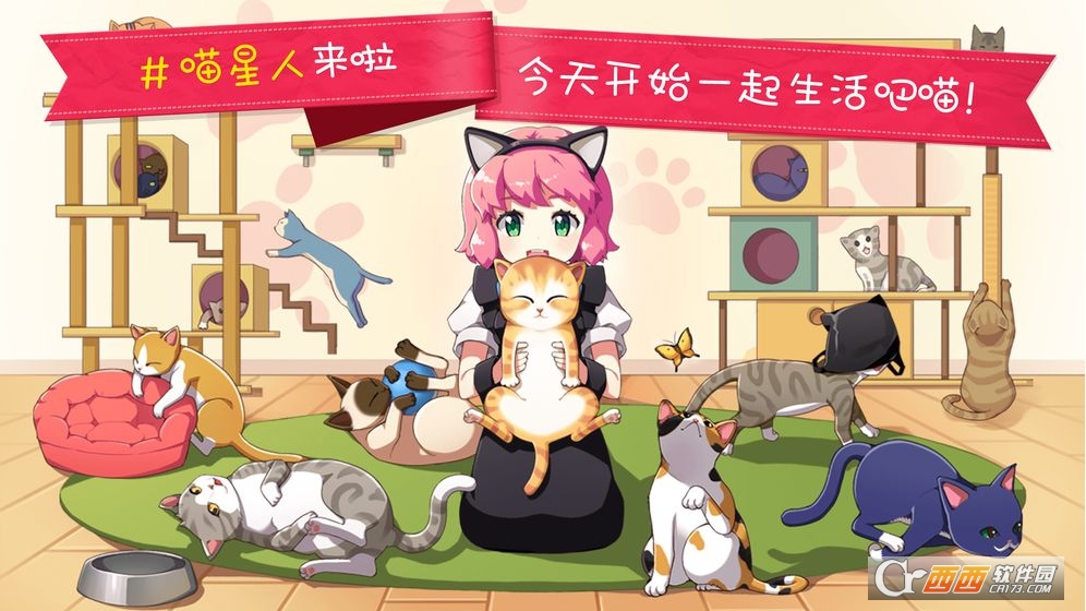 猫猫咖啡屋游戏