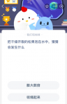 把干燥开裂的松果泡在水中，猜猜会发生什么？