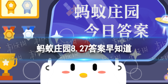 桉树叶难嚼,却是哪种动物的美食 蚂蚁庄园8.27答案早知道