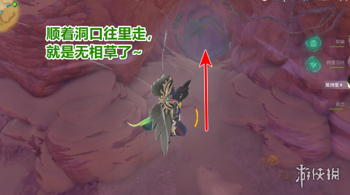 《原神》无相草在哪 无相草位置介绍