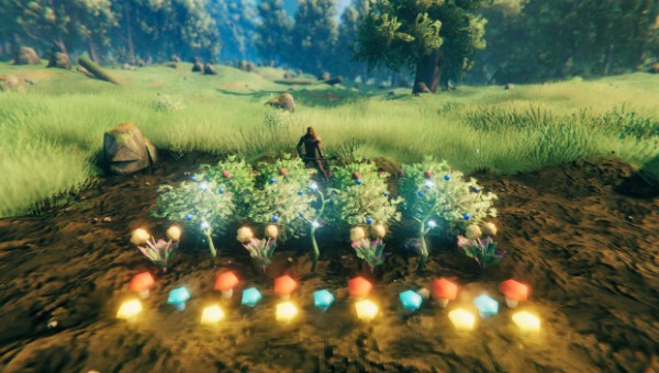 英灵神殿浆果种植MOD