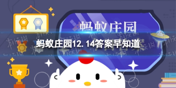 小鸡宝宝考考你:鳄梨是哪种水果的别称 蚂蚁庄园12.14答案早知道