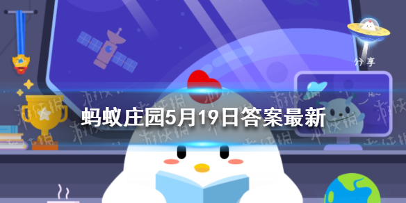 哪个部位的肌肉属于健身常练的核心力量 蚂蚁庄园今日答案5月19日