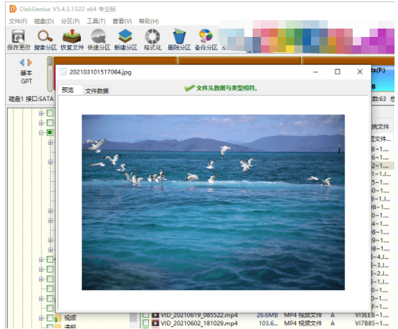 硬盘磁头损坏数据恢复方法
