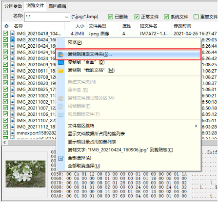 sd卡数据恢复软件免费版下载