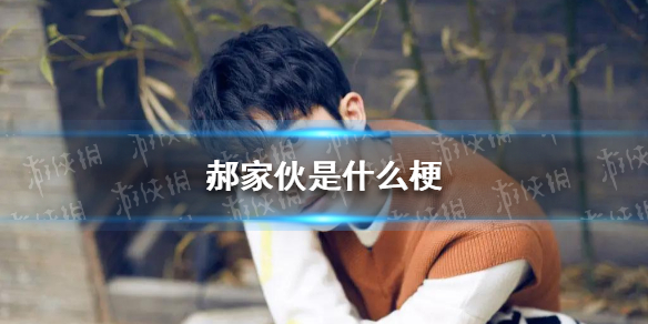 郝家伙是什么梗 郝富申塌房事件